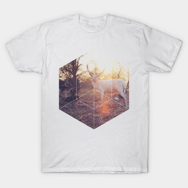 Magical Deer Geometric Photography T-Shirt by deificusArt